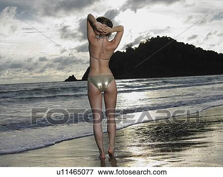 Stock Photo - Tropical Beauty 2. Fotosearch