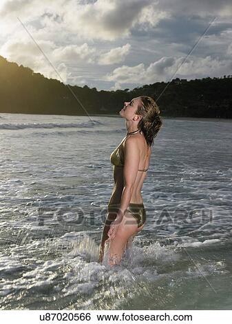 Tropical Beauty 2 View Large Photo Image Stock Photograph - Tropical Beauty 2. Fotosearch
