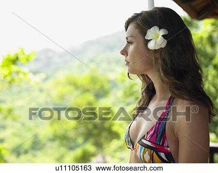 Stock Image - Tropical Beauty. Fotosearch