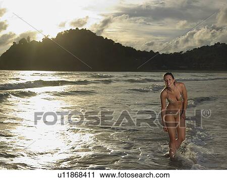 Tropical Beauty View Large Photo Image Stock Image - Tropical Beauty. Fotosearch