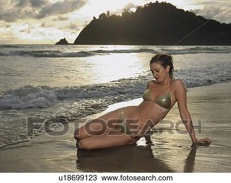 Tropical Beauty View Large Photo Image Stock Image - Tropical Beauty. Fotosearch