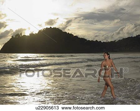 Tropical Beauty View Large Photo Image Stock Image - Tropical Beauty. Fotosearch