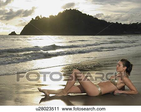Stock Image - Tropical Beauty. Fotosearch