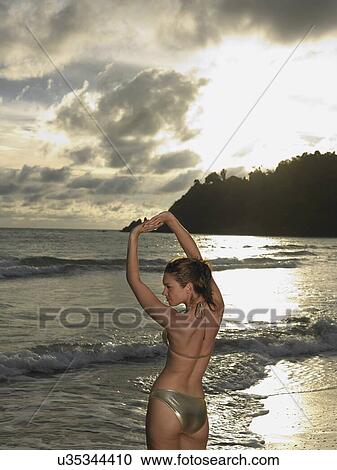Stock Image - Tropical Beauty. Fotosearch