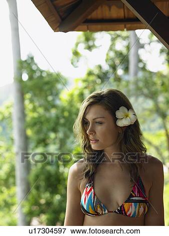 Tropical Beauty View Large Photo Image Stock Photo - Tropical Beauty. Fotosearch
