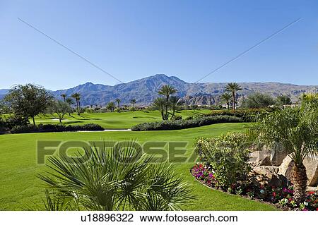 View of mountains with private lawn in foreground View Large Photo Image Stock Image - View of mountains with private lawn in foreground. Fotosearch