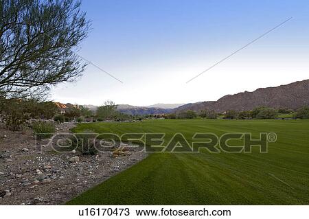 View of private lawn yard View Large Photo Image Stock Image - View of private lawn yard. Fotosearch