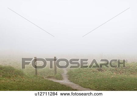 Winter morning View Large Photo Image Picture - Winter morning. Fotosearch