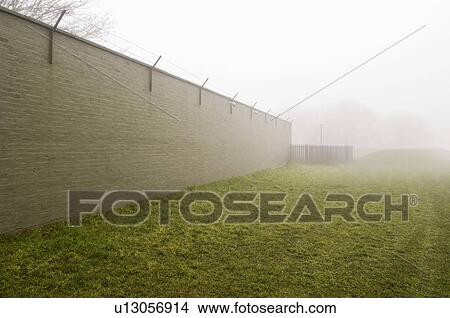 Picture - Winter morning. Fotosearch
