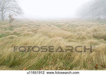 Winter morning View Large Photo Image Stock Image - Winter morning. Fotosearch