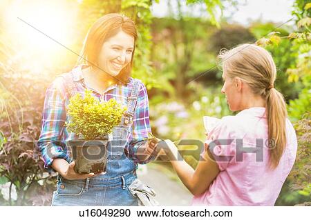 Woman buying plants and giving cash payment to owner View Large Photo Image Stock Image - Woman buying plants and giving cash payment to owner . Fotosearch