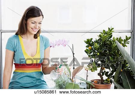 Woman spraying flowers by window View Large Photo Image Stock Image - Woman spraying flowers by window. Fotosearch