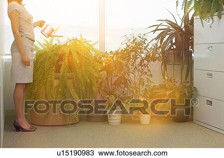 Stock Image - Women watering potted plants at home office. Fotosearch