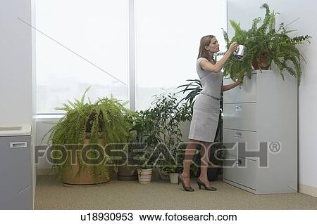 Stock Image - Working Day. Fotosearch