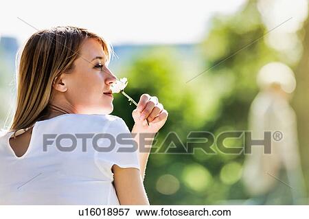 Young attractive businesswoman sitting on the grass while smelling white dandelion in park View Large Photo Image Stock Photo - Young attractive businesswoman sitting on the grass while smelling white dandelion in park. Fotosearch