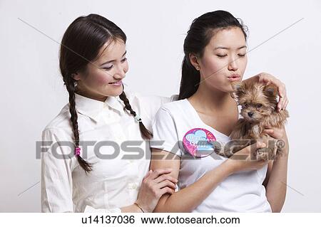 Stock Photograph - Young female friends holding a small puppy against white background. Fotosearch