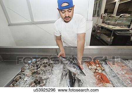 Stock Photograph - Young fishmonger holding up mackerel amidst mixed fish on ice at fish market. Fotosearch