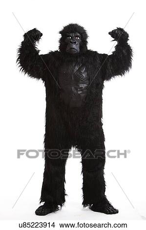 Picture - Young man in a gorilla costume flexing muscles against white background. Fotosearch