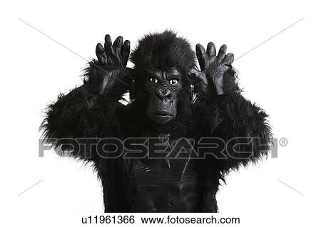 Stock Photograph - Young man in a gorilla costume making funny face against white background. Fotosearch