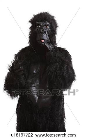 Young man in a gorilla costume sticking out his tongue against white background View Large Photo Image Stock Image - Young man in a gorilla costume sticking out his tongue against white background. Fotosearch