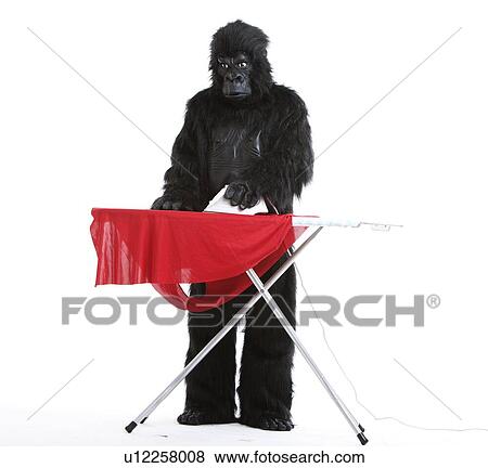 Stock Photo - Young man in gorilla costume ironing red cloth against white background. Fotosearch