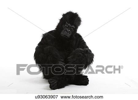 Young man in gorilla costume sitting on floor over white background View Large Photo Image Stock Photo - Young man in gorilla costume sitting on floor over white background. Fotosearch