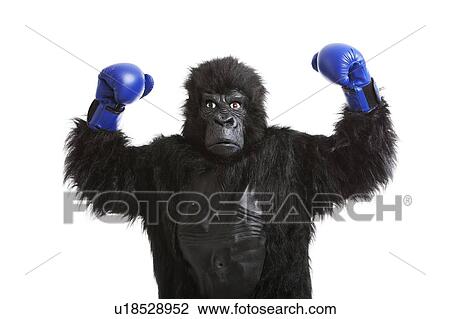 Young man in gorilla costume wearing boxing gloves against white background View Large Photo Image Stock Image - Young man in gorilla costume wearing boxing gloves against white background. Fotosearch