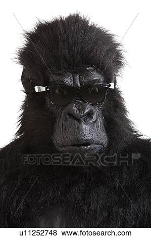 Young man in gorilla costume wearing sunglasses against white background View Large Photo Image Stock Photo - Young man in gorilla costume wearing sunglasses against white background. Fotosearch