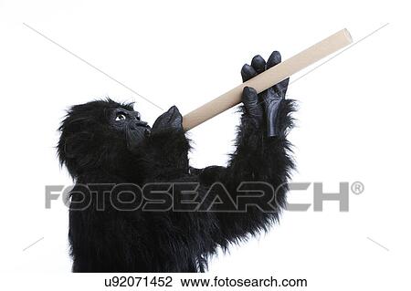 Stock Image - Young man in gorilla costume with rolled paper against white background. Fotosearch