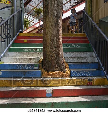 Low angle view of tree growing through a staircase, Queensland, Australia View Large Photo Image Stock Image - Low angle view of tree growing through a staircase, Queensland, Australia. Fotosearch