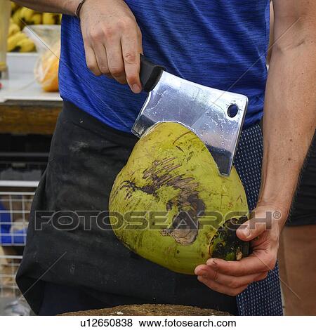 Stock Photo - Midsection view of person cutting a coconut, Kuranda, Queensland, Australia. Fotosearch