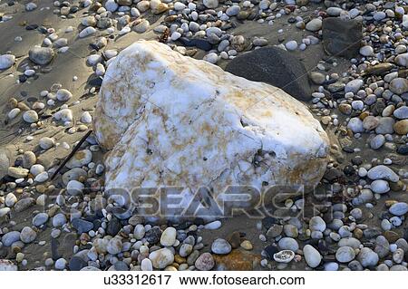 Stock Photo - Pebbles on the beach, Port Douglas, Far North Queensland, Queensland, Australia. Fotosearch