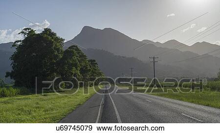 Road passing through field, Far North Queensland, Queensland, Australia View Large Photo Image Stock Photo - Road passing through field, Far North Queensland, Queensland, Australia. Fotosearch