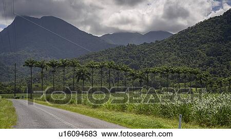 Stock Image - Road with mountain range in the background, Finlayvale, Queensland, Australia. Fotosearch