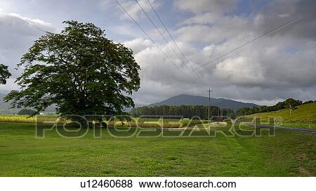 Stock Photo - Scenic view of landscape, Queensland, Australia. Fotosearch