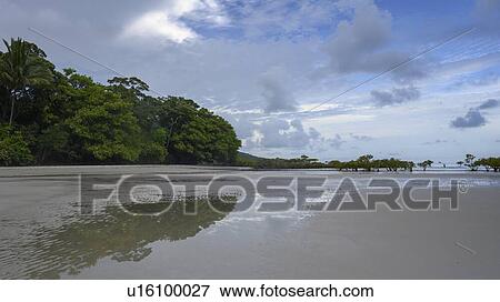 Stock Photo - Scenic view of the beach, Cape Tribulation Beach, Cape Tribulation, Queensland, Australia. Fotosearch