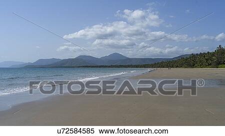 Scenic view of the beach, Four Mile Beach, Port Douglas, Far North Queensland, Queensland, Australia View Large Photo Image Stock Photography - Scenic view of the beach, Four Mile Beach, Port Douglas, Far North Queensland, Queensland, Australia. Fotosearch
