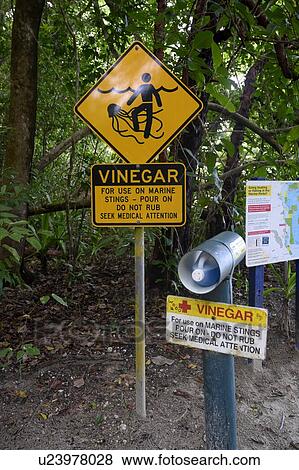 Stock Photo - Signboard in a forest, Cape Tribulation Beach, Cape Tribulation, Queensland, Australia. Fotosearch