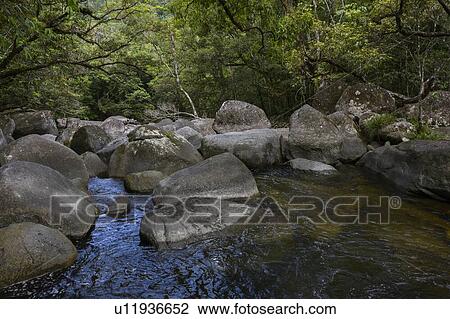 Stock Image - Stream in forest flowing through rocks, Mossman Gorge, Finlayvale, Queensland, Australia. Fotosearch