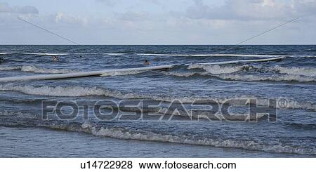 Stock Photo - Tourists swimming in ocean, Port Douglas, Far North Queensland, Queensland, Australia. Fotosearch