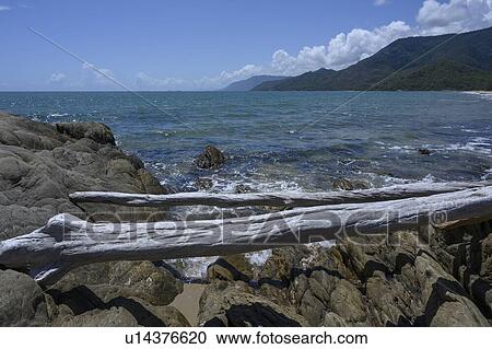 View of Pacific ocean, Thala Beach Nature Reserve, Oak Beach, Queensland, Australia View Large Photo Image Stock Image - View of Pacific ocean, Thala Beach Nature Reserve, Oak Beach, Queensland, Australia. Fotosearch