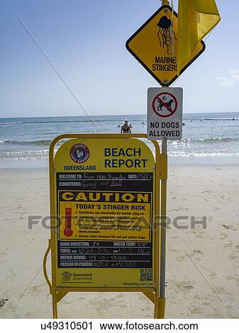 Warning sign on the beach, Four Mile Beach, Port Douglas, Far North Queensland, Queensland, Australia View Large Photo Image Stock Image - Warning sign on the beach, Four Mile Beach, Port Douglas, Far North Queensland, Queensland, Australia. Fotosearch