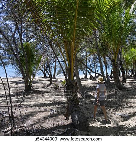 Stock Photo - Woman walking towards the beach, Thala Beach Nature Reserve, Oak Beach, Queensland, Australia. Fotosearch