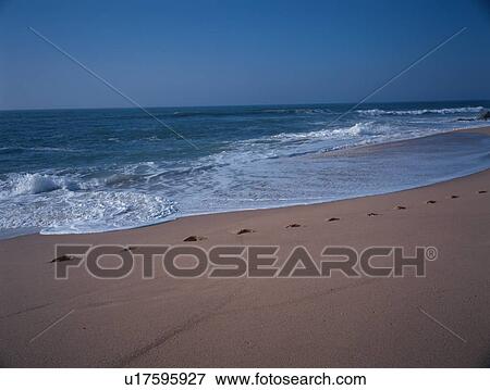 Stock Photo - Footprints In Sand. Fotosearch