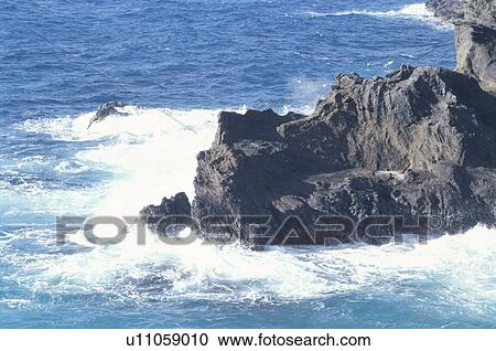 Reef View Large Photo Image Stock Image - Reef. Fotosearch