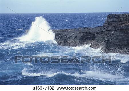 Stock Image - Reef. Fotosearch