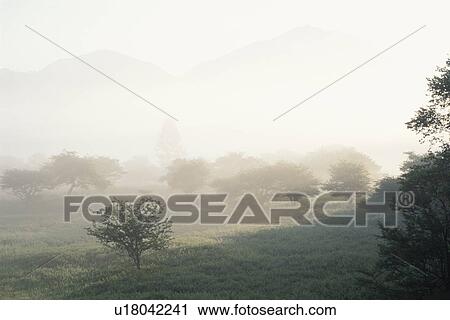A Misty Field View Large Photo Image Stock Image - A Misty Field. Fotosearch