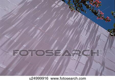 Flower Shadows On Brick Wall View Large Photo Image Stock Photograph - Flower Shadows On Brick Wall. Fotosearch