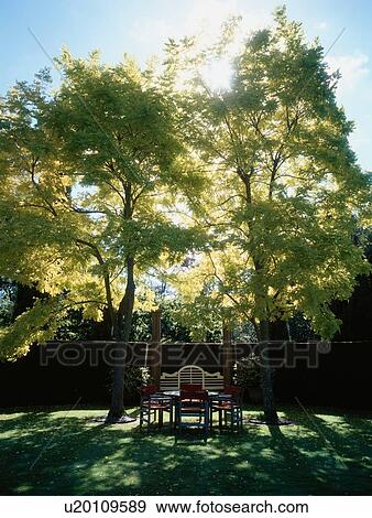 Garden Table Under Trees View Large Photo Image Stock Photo - Garden Table Under Trees. Fotosearch