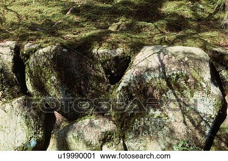 Stock Image - Mosses On Rocks. Fotosearch